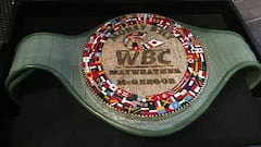 El cinturón del dinero, en juego en el Mayweather vs McGregor