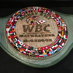 El cinturón del dinero, en juego en el Mayweather vs McGregor