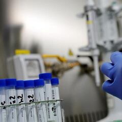 La OMS estudia la aparición de un híbrido del SARS-CoV-2