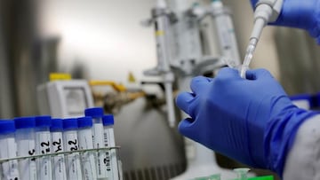 La OMS estudia la aparici¨®n de un h¨ªbrido del SARS-CoV-2