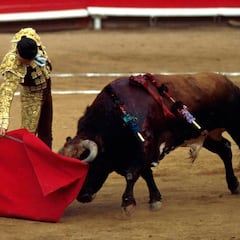 Las corridas de toros, suspendidas definitivamente en la Plaza México