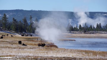 Yellowstone Park