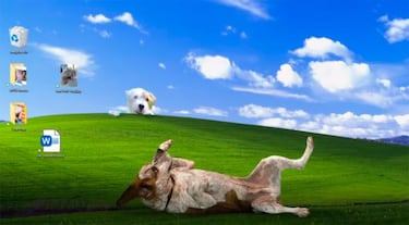 Microsoft felicita la Navidad con Halo, Minecraft, Flight Simulator y el perro Rufus