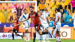 Tigres 1-0 Puebla: Resultado, resumen y goles del partido