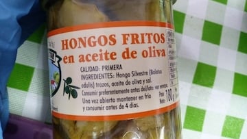 Hongos fritos