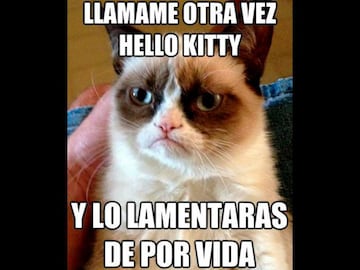 No te pierdas estos divertidos memes para conmemorar el 'Día Internacional del Gato' .