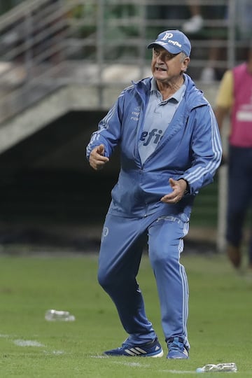 BRA66. SAO PAULO (BRASIL), 03/10/2018.- El director técnico de Palmeiras Luiz Felipe Scolari dirige hoy, miércoles 3 de octubre de 2018, durante un partido de cuartos de final entre Palmeiras y Colo Colo de la Copa Libertadores, en el estadio Allianz Parque de la ciudad de Sao Paulo (Brasil). EFE/Sebastião Moreira