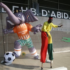 La Copa de África, en tierra de elefantes