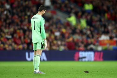 El portero belga de la selección de Bélgica intenta atrapar una rata que corrió al campo durante el partido frente a la selección de Gales en el Cardiff City Stadium.