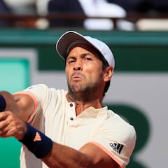 Verdasco cae ante Monteiro y se despide de Hamburgo