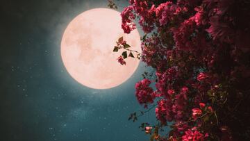The Strawberry Moon is coming and as it will be the lowest full moon of the year it will more likely have a reddish color especially from higher latitudes.