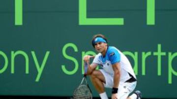 David Ferrer acab&oacute; tocado la final de Miami, frente Murray. A&uacute;n sigue con molestias en la pierna izuierda.