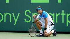 Ferrer renuncia a Montecarlo y regresará en el Godó