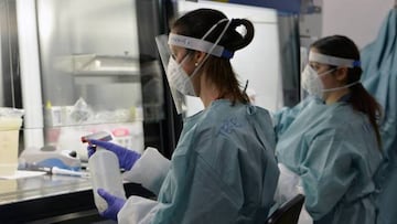 Coronavirus: ¿qué es el ivetxerm, medicamento que podría matar el virus?