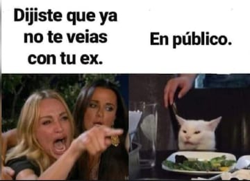 Meme gato