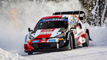 ¿Cuánta potencia tienen los autos híbridos del WRC?