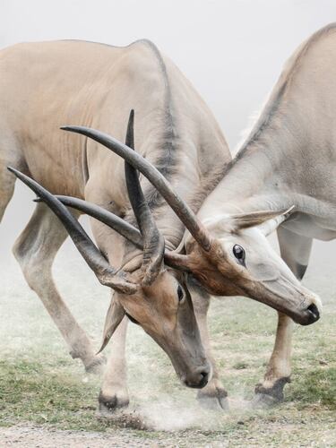 © IPPAWARDS - Kunhua Chen - China