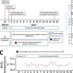 Un estudio demuestra cómo se propaga el coronavirus en un avión