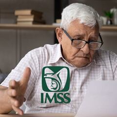 Alerta de fraude para pensionados del IMSS por sitio apócrifo que suplanta la identidad