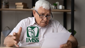 Alerta de fraude para pensionados del IMSS por sitio apócrifo que suplanta la identidad