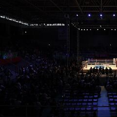 El público vuelve al boxeo
