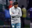 Abel Ferreira pide perdón por un comentario xenófobo