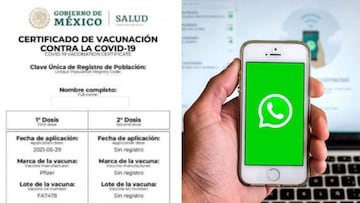 Certificado de vacunación COVID: cómo descargarlo fácilmente a través de WhatsApp