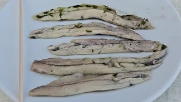 TikTok (tobimonteroj)