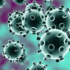 Descubren que el coronavirus está mutando para multiplicar su propagación