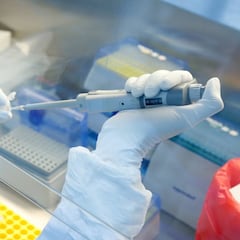 Los resfriados ayudan a combatir la COVID-19