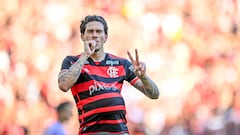 Flamengo, rival de Millonarios en la Copa Conmebol Libertadores