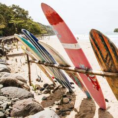 ¿Cuál es la mejor tabla de surf para principantes?