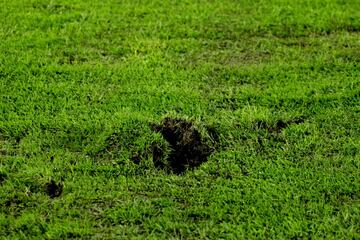 Al campo de juego aún le falta para mejorar.