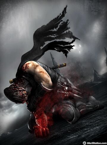 Captura de pantalla - ninja_gaiden_3_key_art.jpg