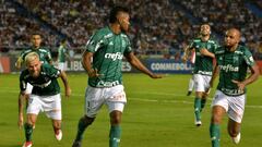 Miguel Borja celebrando un gol con Palmeiras ante Junior por Copa Libertadores
