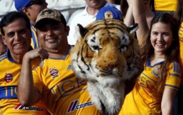 Fans of Mexico's Tigres pose for pictures before their Copa Libertadores final soccer match against Argentina's River Plate at the Universitario stadium in Monterrey, Mexico July 29, 2015. REUTERS/Henry Romero