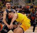 Resumen del Gran Canaria vs Valencia Basket, jornada 13 de la Liga Endesa