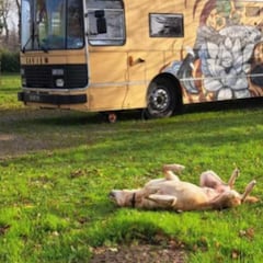 Una familia vende su casa para recorrer Europa y se avería su autobús a las cuatro horas: llevan cinco meses atrapados