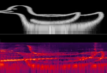 El pájaro que se convirtió en un disco duro viviente: ha conseguido almacenar una imagen PNG en su canto
