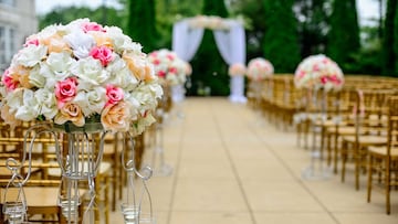 Sociology Professor Susan L. Brown reveals why the average age of marriage is increasing in the U.S.