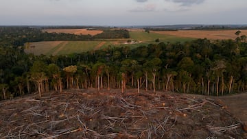 Un terreno que valía miles de millones... Cómo una disputa legal transformó un símbolo agrícola en un pulso internacional. REUTERS/Amanda Perobelli/File Photo