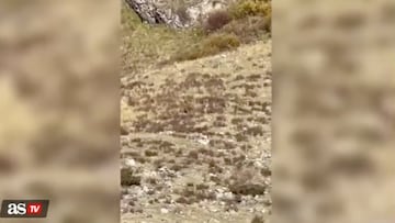 “Seeing is believing” - that’s what Colorado woman Shannon Parker said after she and her husband saw what they believe was a Bigfoot sighting from a train.