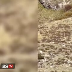 Bigfoot spotting in Colorado?