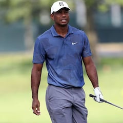 Sin aplausos para Tiger y Rahm