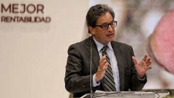 El Ingreso Solidario pasaría a hacer permanente. El Ministerio de Hacienda presentará una propuesta que modificaría los montos y aumentaría beneficiarios.