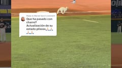 Por esta razón los Charros de Jalisco fueron campeones de la LMP