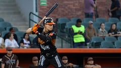 Playoffs al rojo vivo en la Liga Arco Mexicana del Pacífico