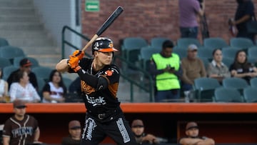 Playoffs al rojo vivo en la Liga Arco Mexicana del Pacífico