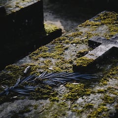 Muertes en España por provincia: ¿en qué lugares hay más fallecimientos?