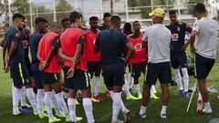Brasil en el Sudamericano Sub-20: equipo y jugadores